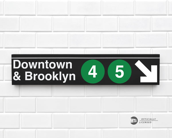 Downtown & Brooklyn 4-5 Trains