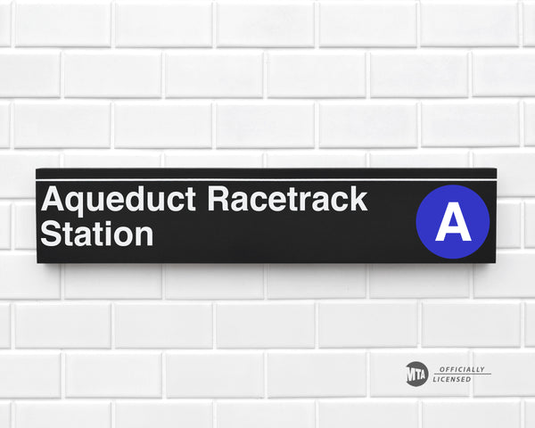 Aqueduct Racetrack Station