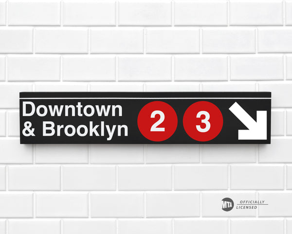 Downtown & Brooklyn 2-3 Trains