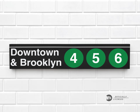 Downtown & Brooklyn 4-5-6 Trains