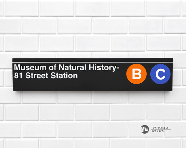 Museum of Natural History- 81 Street Station