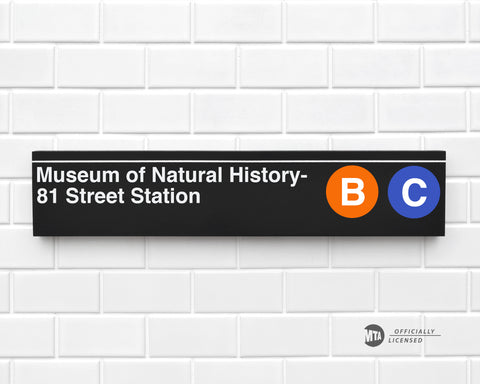 Museum of Natural History- 81 Street Station